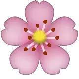 深化行業(yè)認(rèn)知，共謀發(fā)展新篇——中煤蒙大公司特邀孫惠民授課經(jīng)濟(jì)信息咨詢